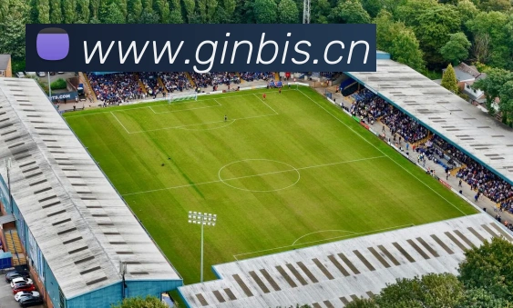 多媒体互动体验